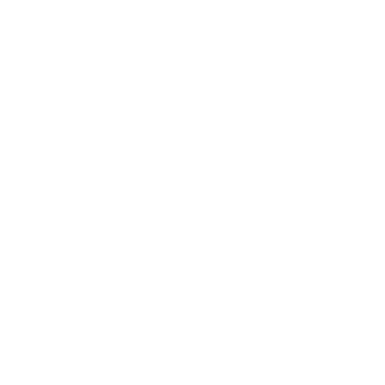 Your Photo Assistant Spyglass logo – Certified Photo Manager in Brooklyn, NY