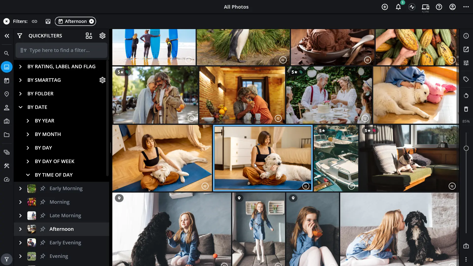 Mylio Photos QuickFilters and Library – Your Photo Assistant Mylio Photos library with QuickFilters panel for finding photos by date, rating, and smart tags